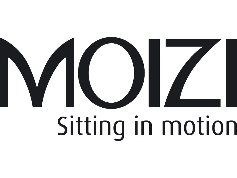 MOIZI Logo englisch
<br> JPG | RGB | 800 x 350 px | 6,8 x 3 cm | 300 dpi | 88 kb